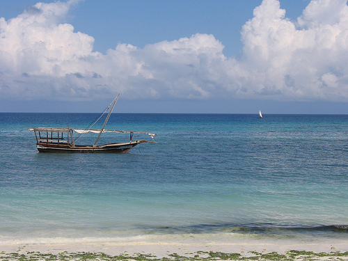 Dongwe, Zanzibar: escursioni e safari blu