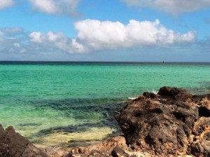 Offerta vacanze per Fuerteventura, Canarie