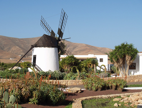 Fuerteventura, Canarie: escursione ad Antigua