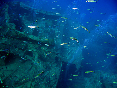 Hurghada Egitto, stretto di Gubal