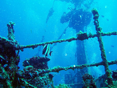 Immersioni Maldive: i relitti dell'Atollo di Male