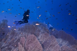 Immersioni a Pantelleria, Sicilia