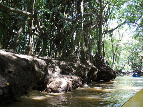 Il Khao Lak-Lam Ru national park, Thailandia