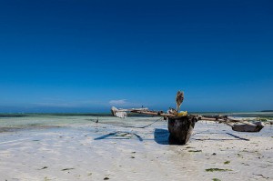 Kiwengwa, Zanzibar