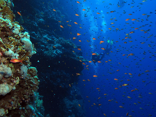 Marsa Alam, Egitto: Al Ikhwan