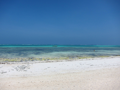 Penisola di Michamwi, Zanzibar