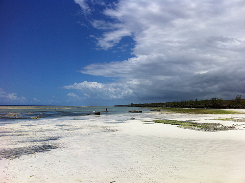 Nungwi, Zanzibar: l'atollo di Mnemba