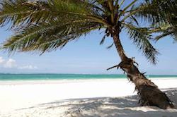 occasioni-viaggi-kenya-diani