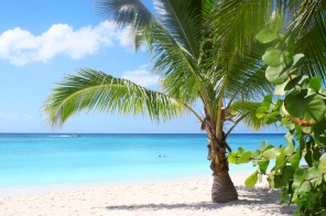 Bayahibe, Repubblica Dominicana