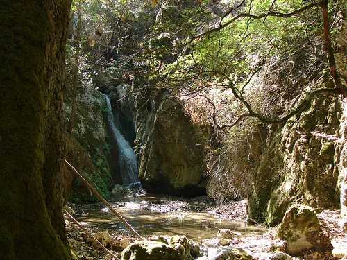 Rodi, Grecia: la Valle delle farfalle di Petaloudes