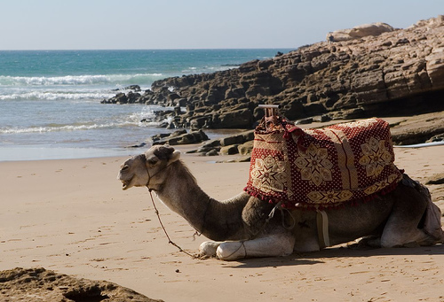 Saidia, Marocco: la perla blu del Mediterraneo