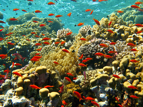 Sharm el Sheikh, Egitto: lo stretto di Tiran