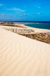 le migliori spiagge di fuerteventura