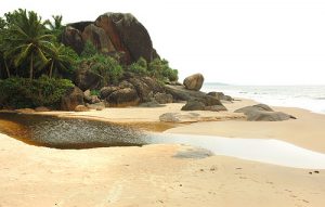 Cose da vedere in Sri Lanka: Negombo