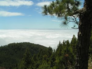 Trekking a Tenerife, Canarie