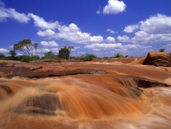 viaggi online tsavo