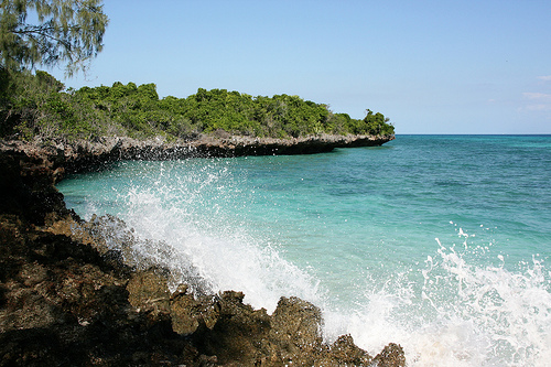 Viaggio a Zanzibar: il Chumbe Island coral park