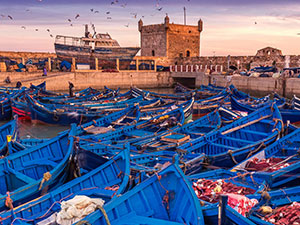 Viaggi e vacanze Essaouira